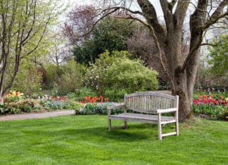 Brugbare ting du kan give en person, der har en kæmpe have