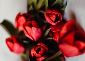 Julebuketter der spreder glæde hos kollegaer, venner og familie