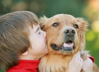 Godt legetøj til børn med ASF