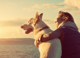 Den perfekte form for weekendhygge: kvalitetstid med børn og kæledyr Kvinde og hund