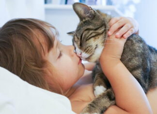 Sådan sikrer du, at din kat og dit barn bliver gode venner
