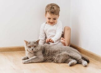 Børn elsker huler, dyr og dinosaur legetøj