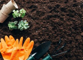 Sådan forbedrer du jorden i havebedet