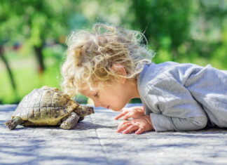 Find anderledes kæledyr til salg på dyreportal.dk