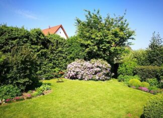 Havetips for begyndere – sådan kommer du godt i gang