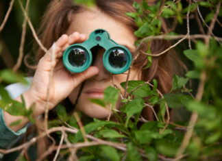 Sådan hjælper du en fugl, som er kommet til skade i haven