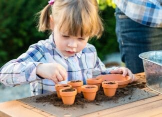 Giv en buket blomster i gave til én, du holder af