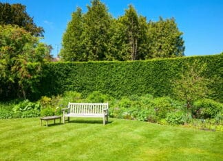 Placér din havebænk, så du kan nyde haven fuldt ud, mens du sidder på den