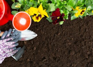 3 tips til det perfekte blomsterbed