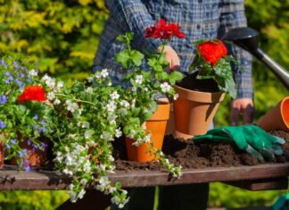 Gør din have mere levende med planter