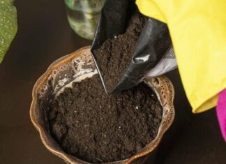 3 fordele ved at bruge muldjord