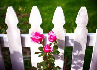 3 typer af hegn, du kan bruge til dit blomsterbed