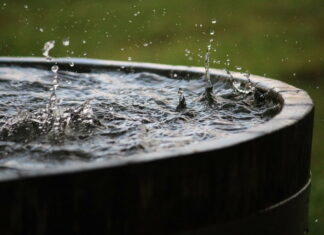 Vand dine blomster med regnvand fra din vandtank