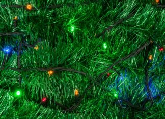 Skal dit næste juletræ være ægte eller kunstigt?