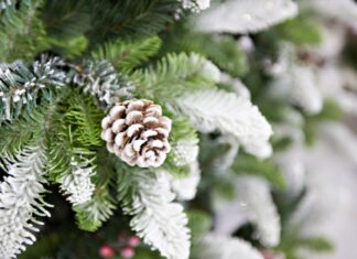 Gode grunde til at købe et juletræ af plastik