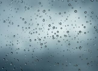 Engagerende og sjove sysler til at forbedre en kold og regnfuld dag