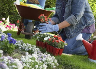 Gaveideer til haveentusiasten