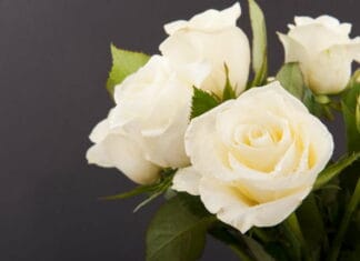 Spred glæde med en personlig buket blomster