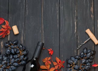 Fra Klassiske Bønder til Vinproducenter på Fyn