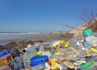 Red de danske kyster – saml havplast med dit mobilabonnement fra Greentel