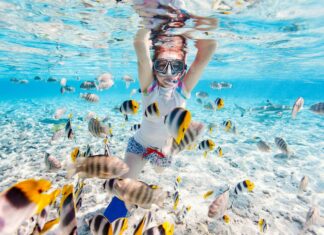 Gode destinationer til dykning og snorkling på ferien
