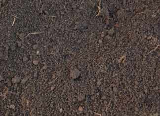 Fordele ved harpet muld leveret i bigbag