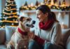 Sådan skaber du den perfekte julestemning for både dig og din hund