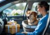 Sådan transporterer du din hund sikkert og overrasker sundhedsarbejdere med gaver i topklasse