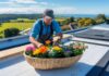 Sådan vælger du den perfekte blomsterkurv til sydsjælland til dit nye tagprojekt