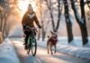 Kreative juleprojekter til hyggelige cykeludflugter med hunden