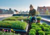 Sådan skaber du et grønt tag i Hillerød med blomsterfrø
