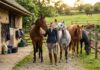 Ideer til gode gaveidéer til hende der har flere heste