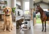 Sådan finder du smart udstyr til hunde, katte og heste