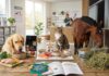 Guide til foder til hunde, katte og heste