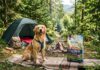 Guide til camping med hund og Platinum hundefoder