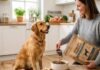 Sådan vælger du hundefoder til et langt hundeliv
