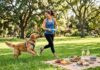 Tips til aktiviteter med hund og sund kost