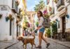Guide til Malaga med hund og kat