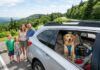 Tips til kør selv-ferie med hund i bilen