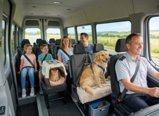 Tips til kørsel med kæledyr i minibus