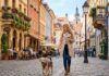 Tips til storbyferie i Europa med hund