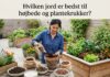 Hvilken jord er bedst til højbede og plantekrukker?