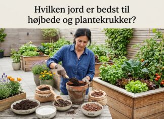 Hvilken jord er bedst til højbede og plantekrukker?