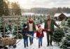 Gør turen efter juletræet til en tradition børnene husker