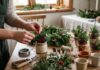 Sådan bruger du rester fra dørkransen i små juledekorationer