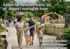 Sådan får familien mere ud af dagen i zoologisk have