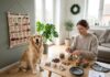 Sådan vælger du fyld til en pakkekalender til hunden